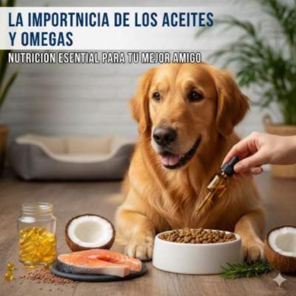 La Importancia de los Aceites  Esenciales Perros