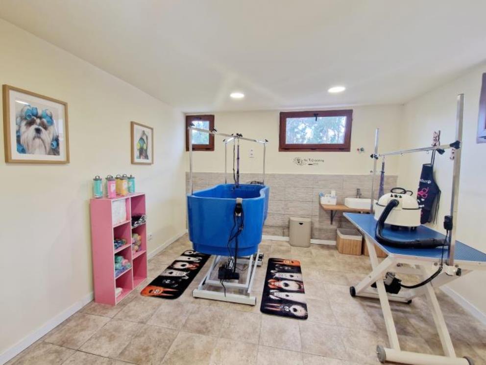 Instalaciones de la peluquería canina del Hotel Canino Villa Astur, espacio acondicionado para el cuidado e higiene de tu mascota.