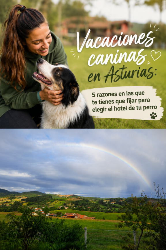 Vacaciones caninas en Asturias: 5 razones en las que te tienes que fijar para elegir el hotel de tu perro