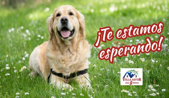 Te estamos esperando