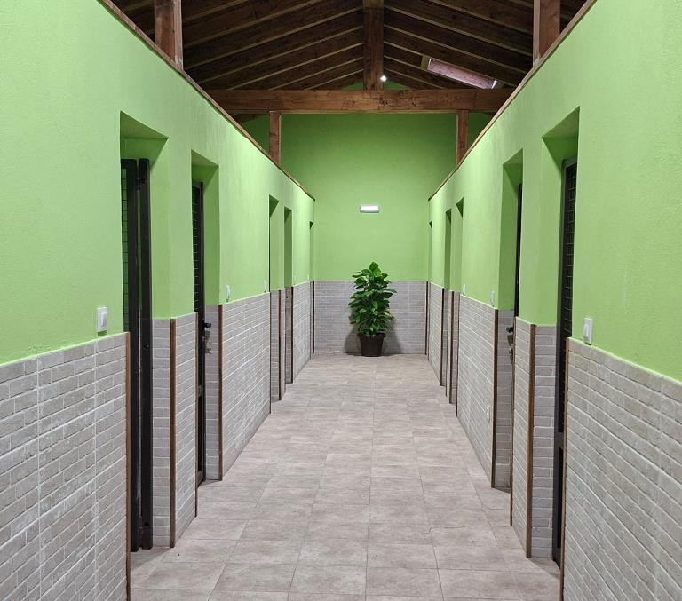 Perro descansando en el hotel