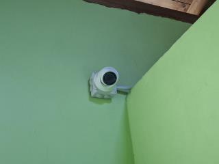Fotografía de una cámara de vigilancia en el hotel canino